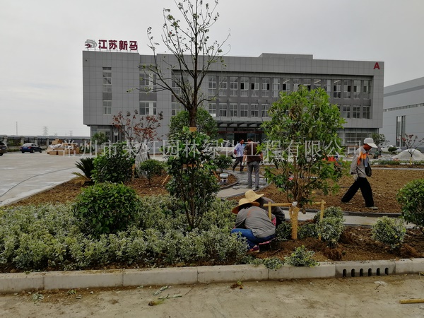 常州新馬干燥施工