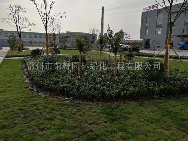 常州新馬干燥施工