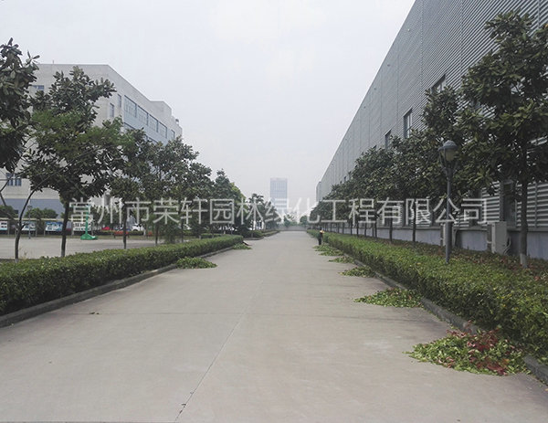 溧陽中興西田養(yǎng)護