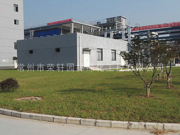 籽播種植的草坪