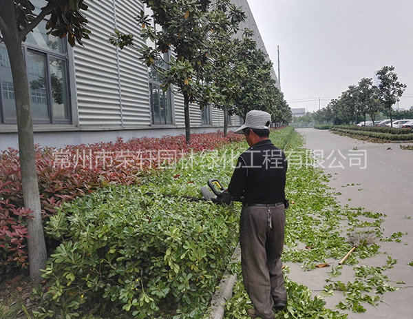 溧陽中興西田養(yǎng)護