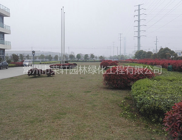 溧陽中興西田養(yǎng)護