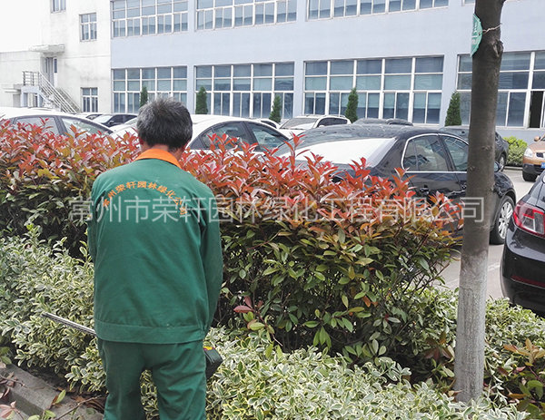 溧陽中興西田養(yǎng)護