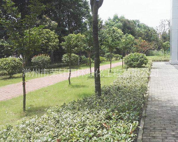 愛科（常州）機(jī)械養(yǎng)護(hù)