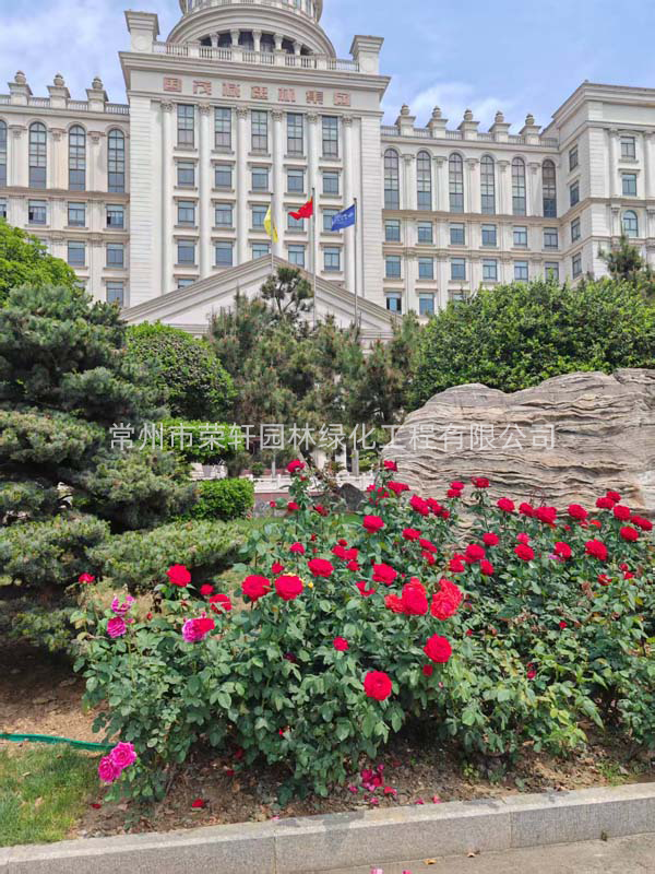 國(guó)茂減速機(jī)集團(tuán)有限公司